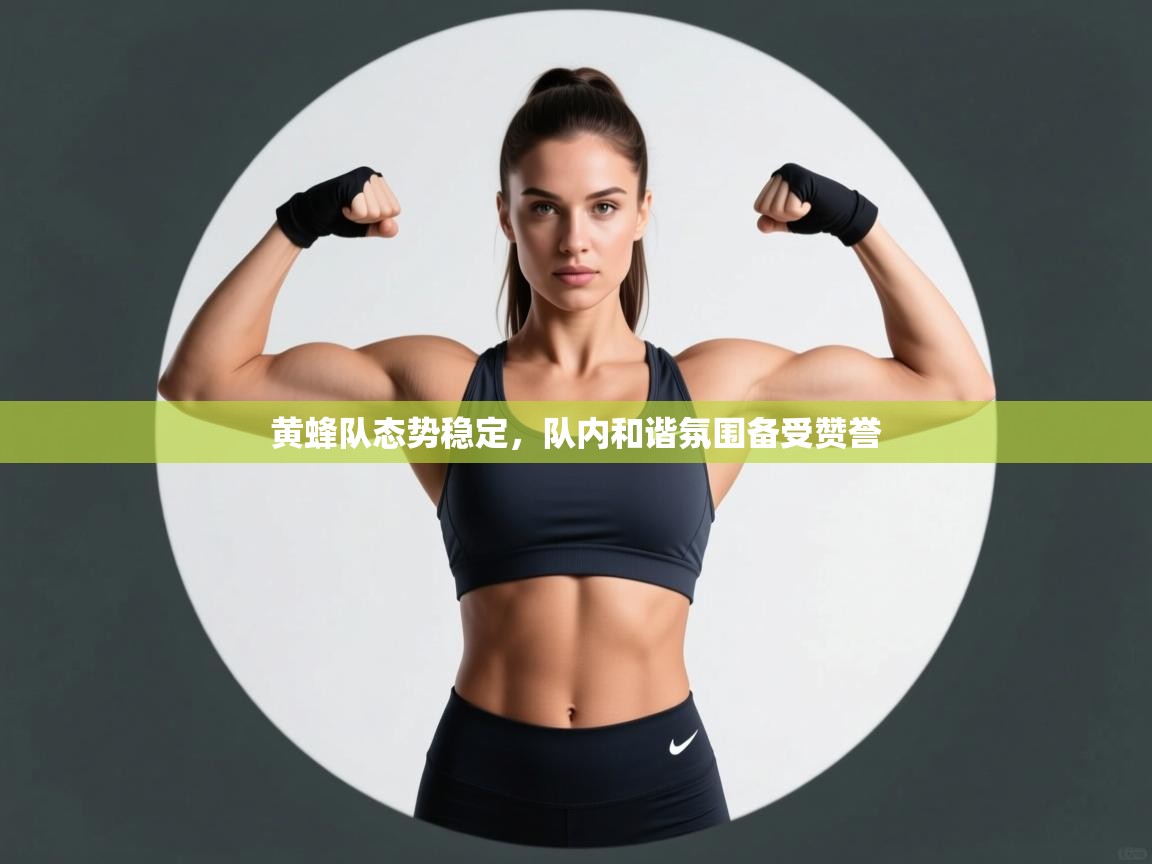 黄蜂队态势稳定，队内和谐氛围备受赞誉  第2张